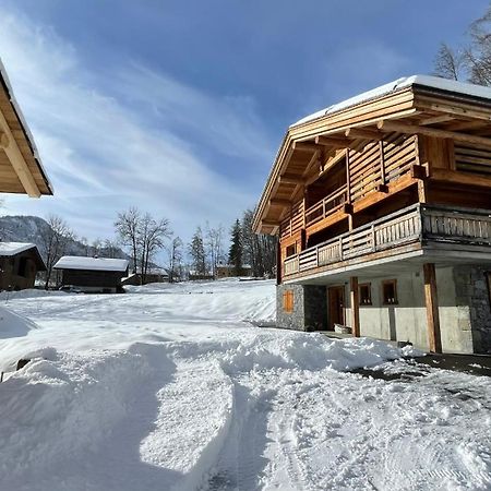 Chalet Birdie Le Grand-Bornand Dış mekan fotoğraf