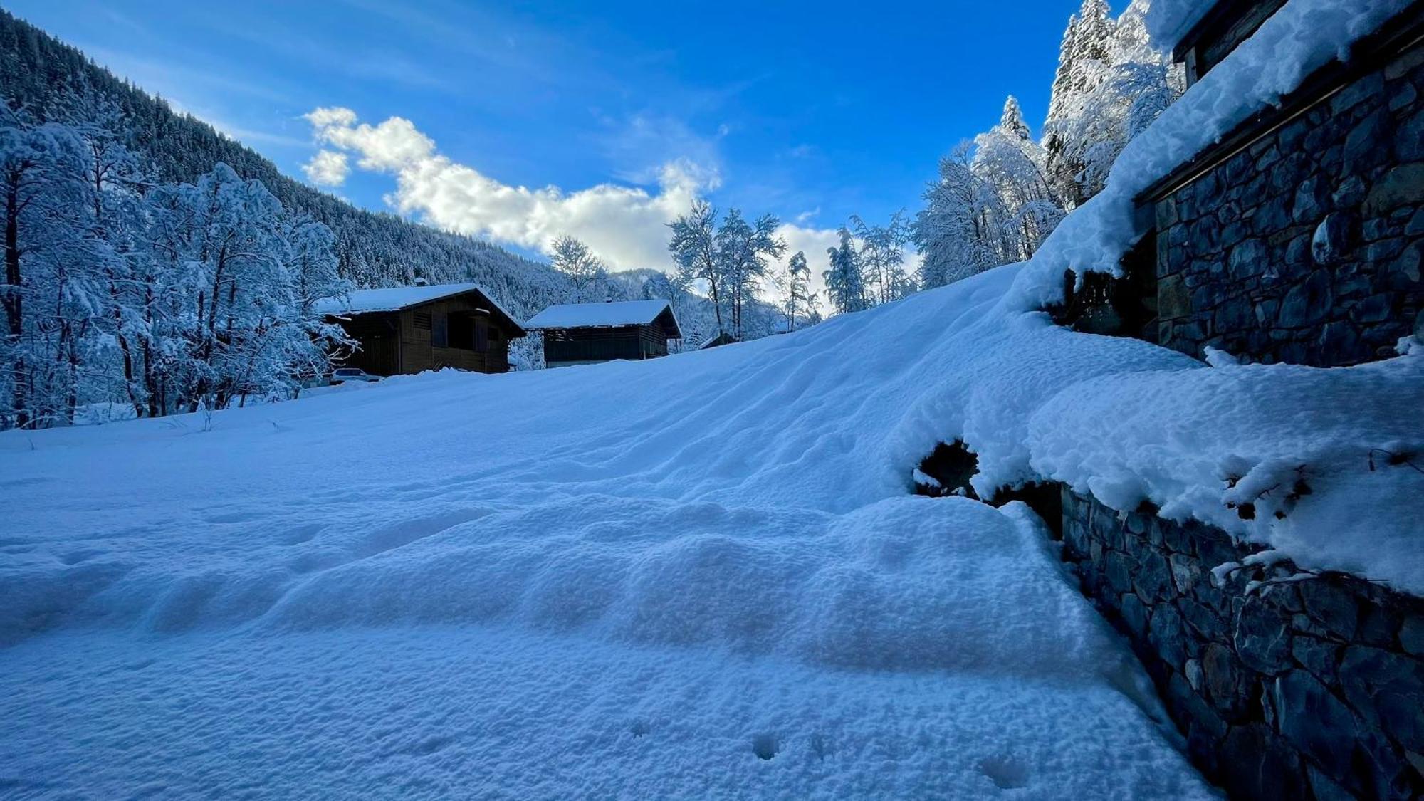 Chalet Birdie Le Grand-Bornand Dış mekan fotoğraf